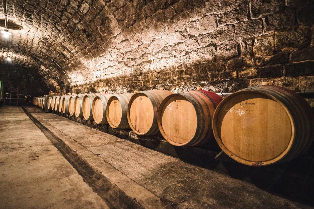 Weingut Gaestehaus D&D Haider Jois Ngoại thất bức ảnh